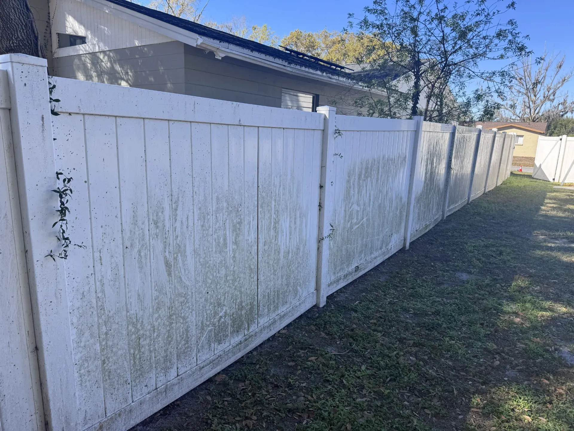 Fence Wash in Land O' Lakes, FL - Before - Hudson Pressure Pros