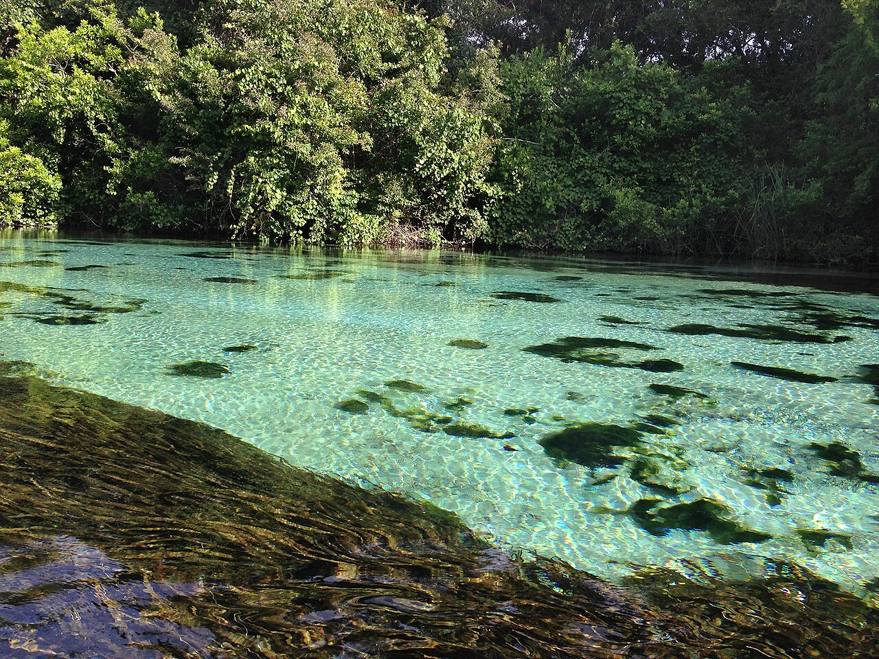 Weeki Wachee River, Spring Hill, FL - Crystal clear spring water